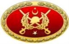TSK Metal Bröve Çeşitleri