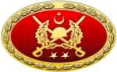 TSK Metal Bröve Çeşitleri