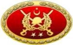 TSK Metal Bröve Çeşitleri