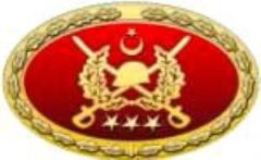 TSK Metal Bröve Çeşitleri