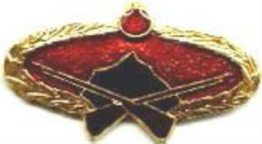 TSK Metal Bröve Çeşitleri KITA HİZM SÖZ UZM **