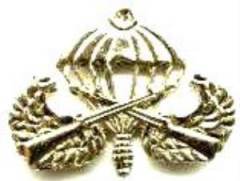 TSK Metal Bröve Çeşitleri KITA HİZM SÖZ UZM **