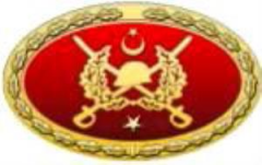 TSK Metal Bröve Çeşitleri STATİK PARAŞÜT