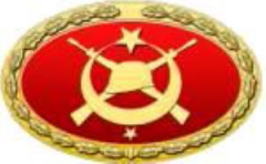 TSK Metal Bröve Çeşitleri STATİK PARAŞÜT