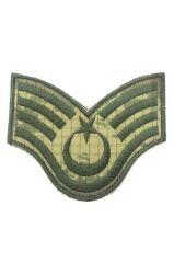 Single Sword TSK Eğitim Rütbesi Nakış ALB.