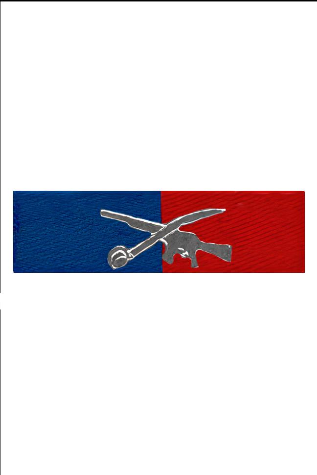 Single Sword Şerit Rozet K.K. SUBAY