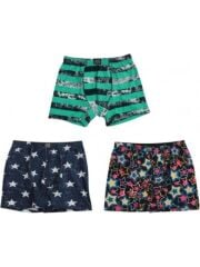 Gümüş Boxer 3XL