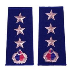 Single Sword Nakış Jandarma Asayiş Rütbe ASTSB.KID.ÜST.ÇVŞ.