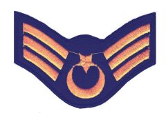 Single Sword Nakış Jandarma Asayiş Rütbe