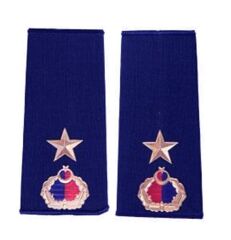 Single Sword Nakış Jandarma Asayiş Rütbe