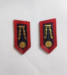 Single Sword plastik jandarma asayiş yaka spoletleri ASAYİŞ - ASAYİŞ
